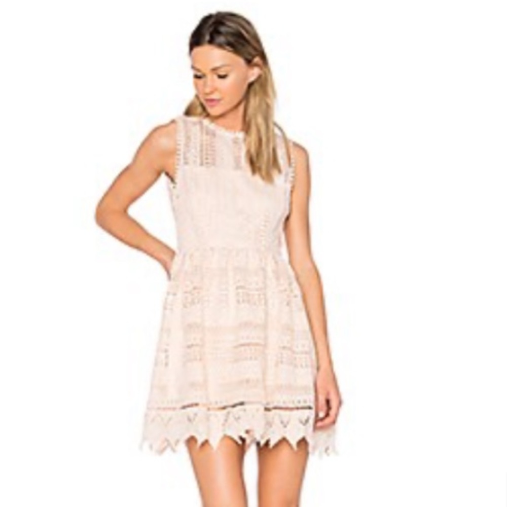 Elissa Dress Steve Madden